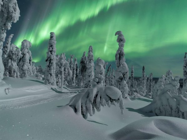 Trekking Aurora hasta las orillas del Lago Inari
