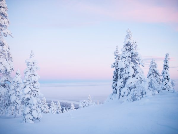 Descubre Saariselkä: Excursión en la tundra, Almuerzo y Sauna