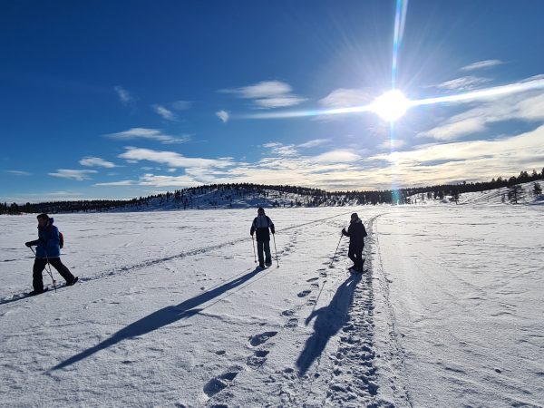 Caminata de Invierno