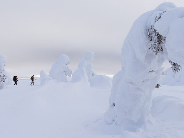 Expedición de esquí al Parque Nacional UKK